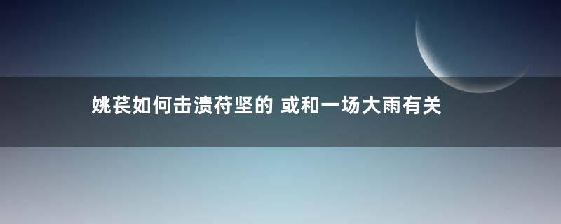 姚苌如何击溃苻坚的 或和一场大雨有关